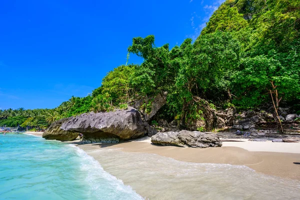 Stranden Tropical Papaya Vid Paradiskusten Nido Palawan Filippinerna Turnera Route — Stockfoto