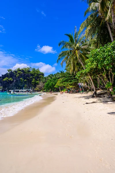 Stranden Tropical Papaya Vid Paradiskusten Nido Palawan Filippinerna Turnera Route — Stockfoto