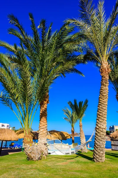 Entspannung Strand Weißen Strand Reiseziel Für Den Urlaub Hurghada Rotes — Stockfoto