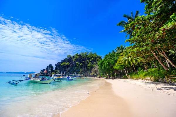 Stranden Tropical Papaya Vid Paradiskusten Nido Palawan Filippinerna Turnera Route — Stockfoto