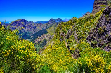 Pico do Arieiro 'dan Pico Ruivo, Madeira Adası' na güzel yürüyüş parkurları. Pr1 no 'lu patika, Vereda do Areeiro. Bulutların üstündeki güneşli yaz gününde. Portekiz.