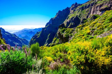 Pico do Arieiro 'dan Pico Ruivo, Madeira Adası' na güzel yürüyüş parkurları. Pr1 no 'lu patika, Vereda do Areeiro. Bulutların üstündeki güneşli yaz gününde. Portekiz.