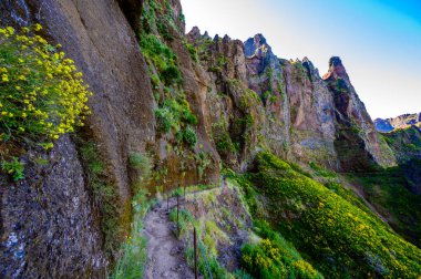 Pico do Arieiro 'dan Pico Ruivo, Madeira Adası' na güzel yürüyüş parkurları. Pr1 no 'lu patika, Vereda do Areeiro. Bulutların üstündeki güneşli yaz gününde. Portekiz.