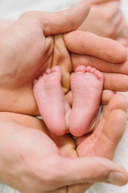 Yeni doğmuş bir bebeğin ayakları ebeveynlerin elinde. Mutlu aile anı ve konsept.