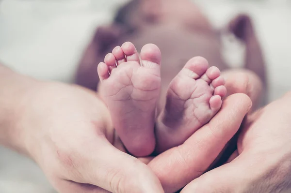 Feet Newborn Baby Hands Parents Happy Family Moment Concept — Stock Photo, Image