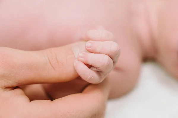 新生儿拿着母亲 父亲的手指 快乐家庭和婴儿保护概念 妈妈和爸爸握着孩子的手 — 图库照片