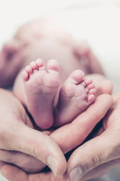 Feet Newborn Baby Hands Parents Happy Family Moment Concept — Stock Photo, Image