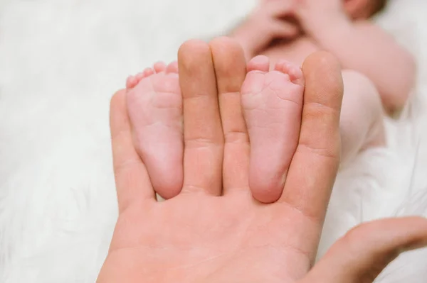 Nohy Novorozence Rukou Rodičů Šťastný Rodinný Moment Koncept — Stock fotografie