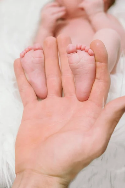 Füße Eines Neugeborenen Babys Den Händen Der Eltern Glücklicher Familienmoment — Stockfoto