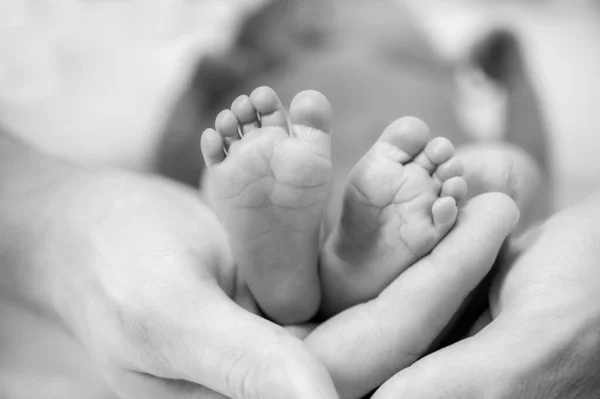 Ноги Новорожденного Ребенка Руках Родителей Счастливый Семейный Момент Концепция — стоковое фото