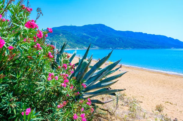 Spiaggia Agios Georgios Nella Baia Del Paradiso Uno Splendido Paesaggio — Foto Stock