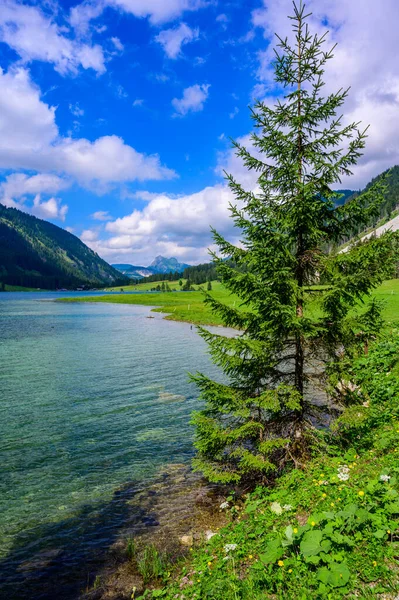 Tannheimer TalのVilsalpsee Villsalp Lake オーストリアのアルプスの美しい山の景色 — ストック写真