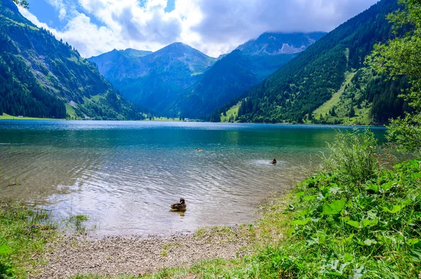 Vilsalpsee Vilsalp Lake Tannheimer Tal Hermoso Paisaje Montaña Los Alpes —  Fotos de Stock