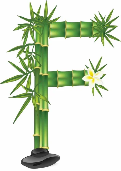 Letter Made Bamboo Tree — Stock Vector