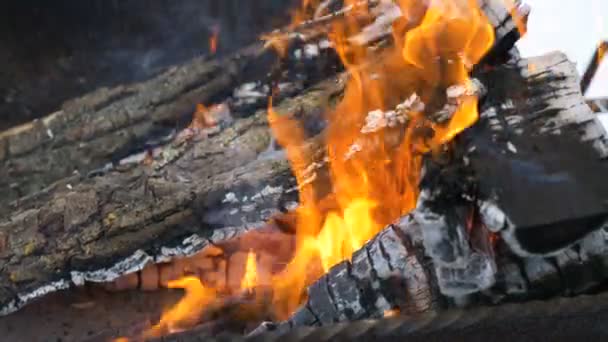Yakacak Odun Kömürlerin Yanma — Stok video