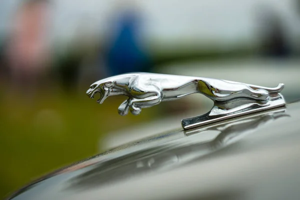 Kapuce ozdoba sportovního vozu Jaguar (Jaguar ve skoku), closeup. — Stock fotografie