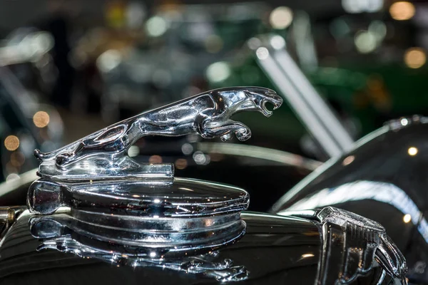 Hood ornamental car of Jaguar SS 100 (Jaguar in the jump). — Stock Photo, Image