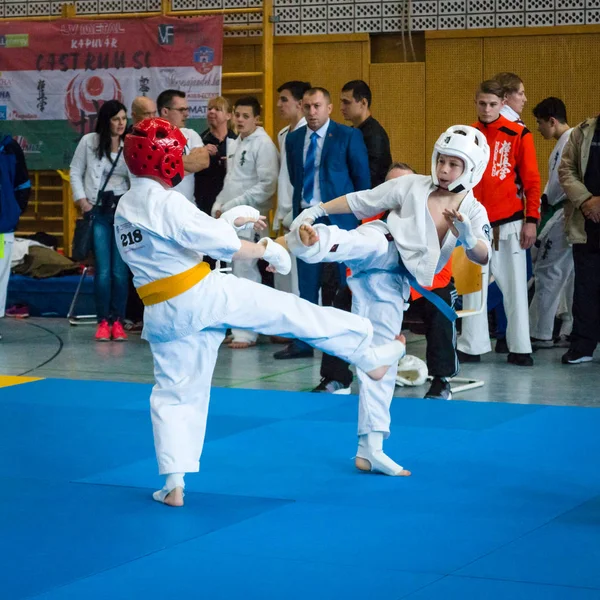 Bojovníci na tatami. — Stock fotografie