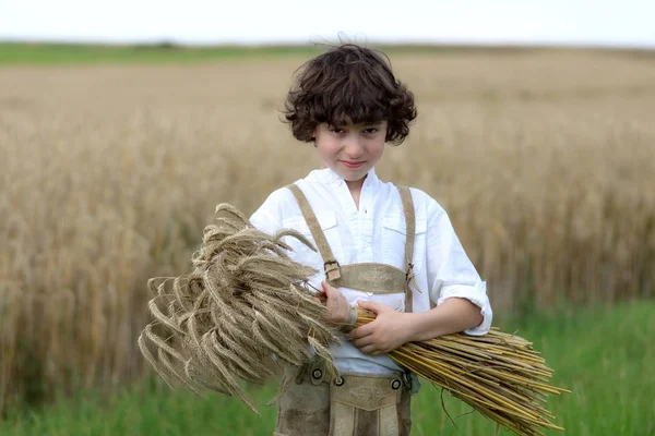 Un niño con ropa tradicional bávara se para en el campo y sostiene una gavilla de centeno en sus manos. Cosecha . —  Fotos de Stock