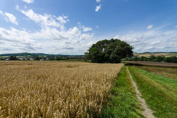 Die ländliche Landschaft. — Stockfoto