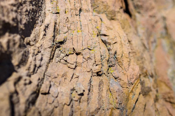 Roccia sedimentaria. Struttura in pietra naturale. Contesto. Profondità di campo ridotta. Focus sul centro . — Foto Stock