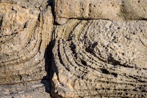 Roccia sedimentaria. Struttura in pietra naturale. Contesto . — Foto Stock