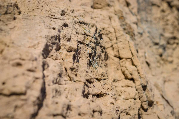 Pedra sedimentar. Estrutura de pedra natural. Contexto. Profundidade de campo rasa. Concentre-se no centro . — Fotografia de Stock