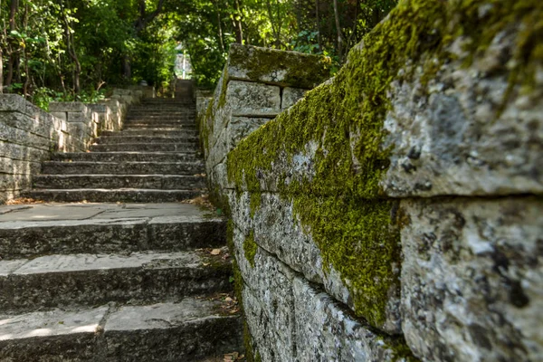 Muschio su un muro di pietra. Concentrati sul primo piano . — Foto Stock