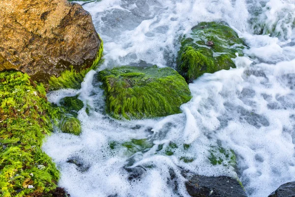Морський Серфінг Хвилі Скелі Вкриті Водоростями Крупним Планом — стокове фото