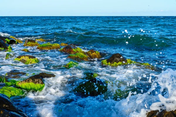 海のサーフィン 波と藻類に覆われた岩 — ストック写真