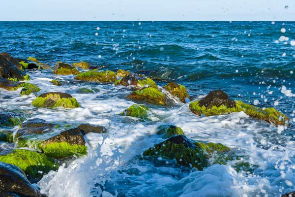 Sea Surf Waves Rocks Covered Algae — Stock Photo, Image