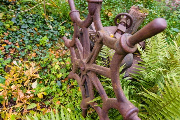 Fragment Hand Held Ancient Press Overgrown Grass Bushes Steering Wheel — Stock Photo, Image