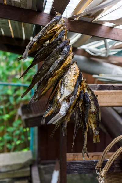 Ein Bündel Getrockneter Fische Hängt Auf Dem Dachboden Schatten Traditioneller — Stockfoto