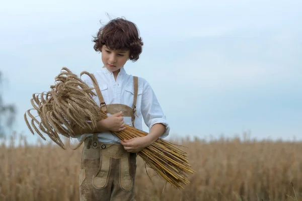 伝統的なバイエルンの服の少年はフィールドに立って 彼の手でライ麦の束を保持します — ストック写真