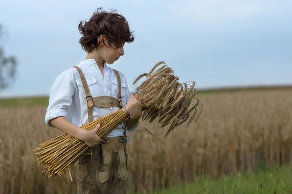 A boy in traditional Bavarian clothes stands in the field and holds a sheaf of rye in his hands. Harvesting.