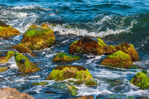 Sea Surf Vågor Och Bergarter Täckta Med Alger Närbild — Stockfoto