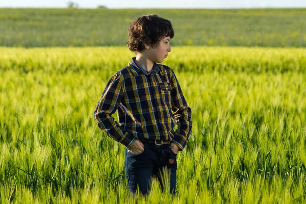 Boy Jeans Shirt Standing Field — Stock Photo, Image