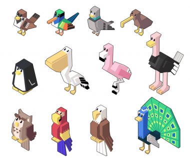 Şirin izometrik kuş ve kümes hayvanları vektör çizim minimal tarzda ayarlayın. Arka plan üzerinde izole. Bölüm 4