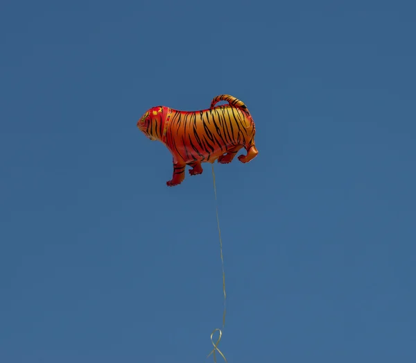 Viering op het centrale plein van Vladivostok ter ere van de Tiger-dag. — Stockfoto