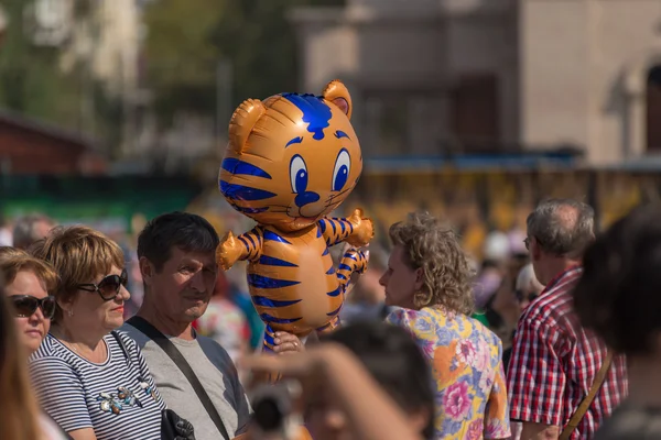 Celebração na praça central de Vladivostok em honra do Dia do Tigre . — Fotografia de Stock