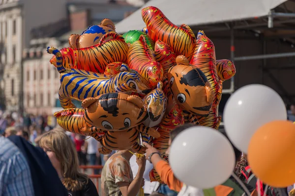 Celebração na praça central de Vladivostok em honra do Dia do Tigre . — Fotografia de Stock