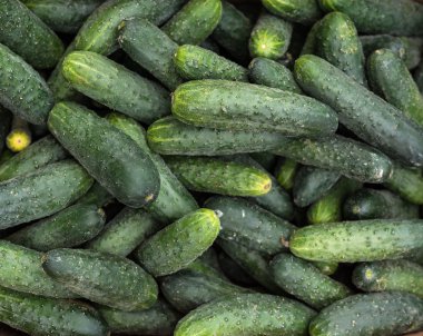 Vegetables in a supermarket.