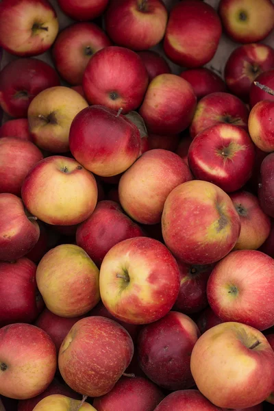 Fruit in een supermarkt. — Stockfoto