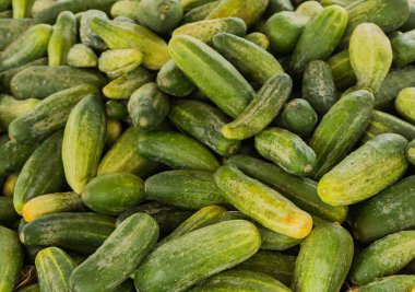 Bir süpermarkette - salatalık sebze.