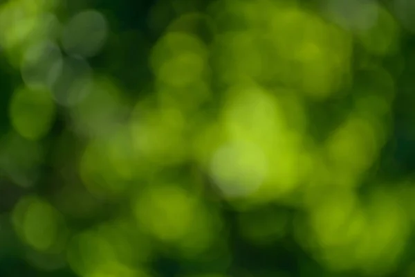 녹색 배경입니다. 자연 bokeh. — 스톡 사진
