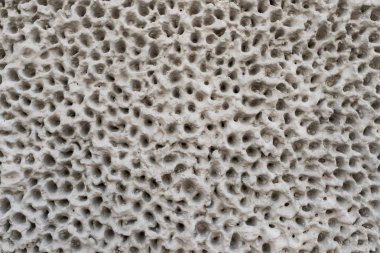 Duvar yuvarlak delikli.