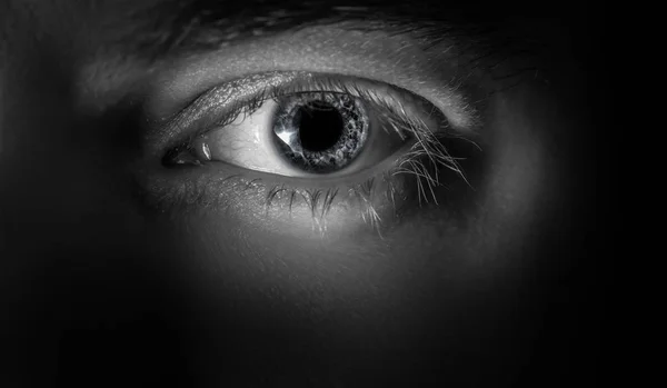 Ojo humano en blanco y negro . — Foto de Stock