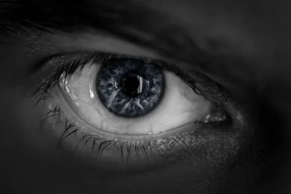 Человеческий глаз в черно-белом тонусе . — стоковое фото
