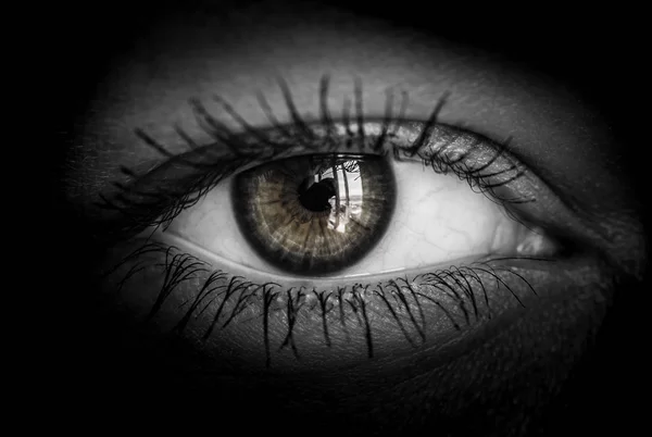Людське око в чорно-білому тоні . — стокове фото