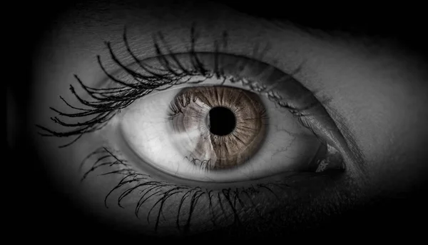 Olho humano em preto e branco tonificado . — Fotografia de Stock